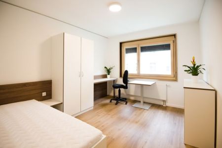 2-Zimmer-Apartment (3).jpg